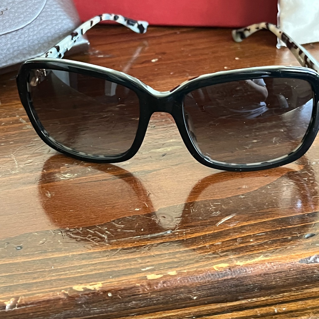 Salvatore Ferragamo Classic Sunglasses
